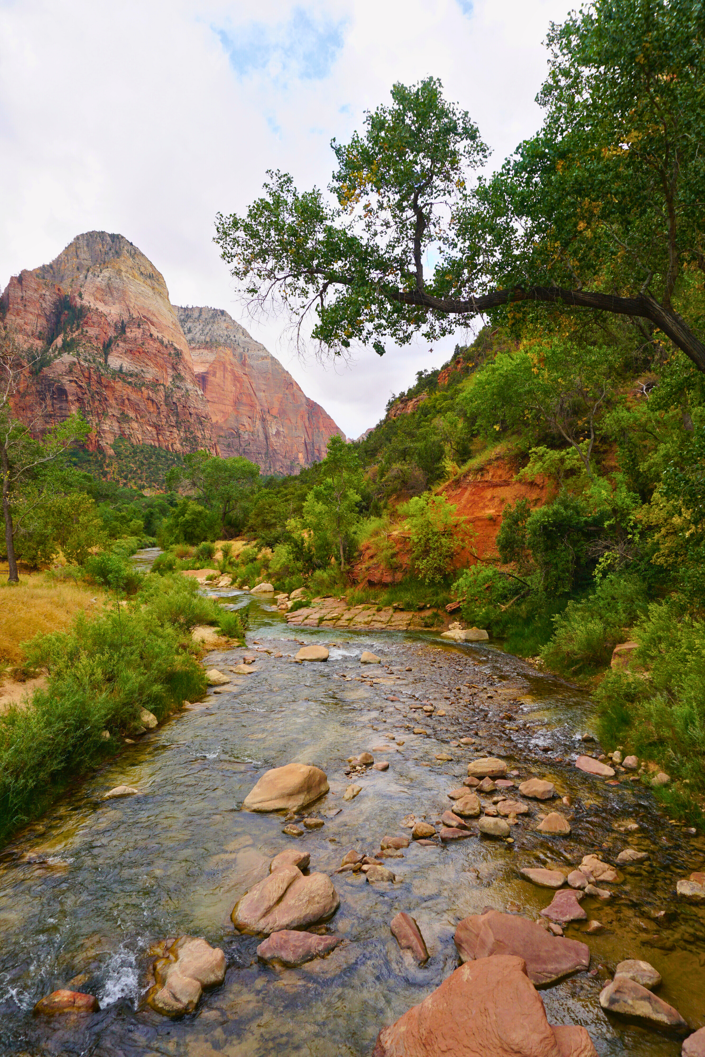 Lead to Quiet Waters