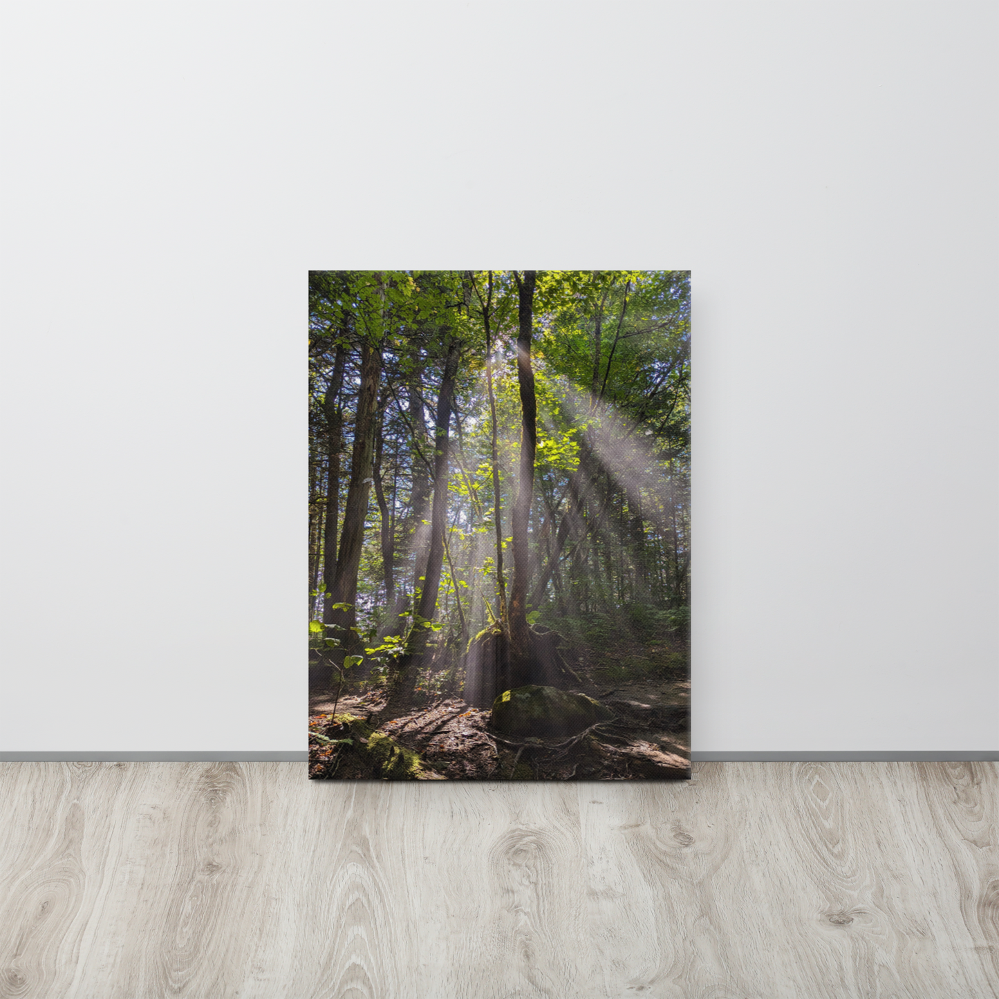 Rooted in Light Canvas