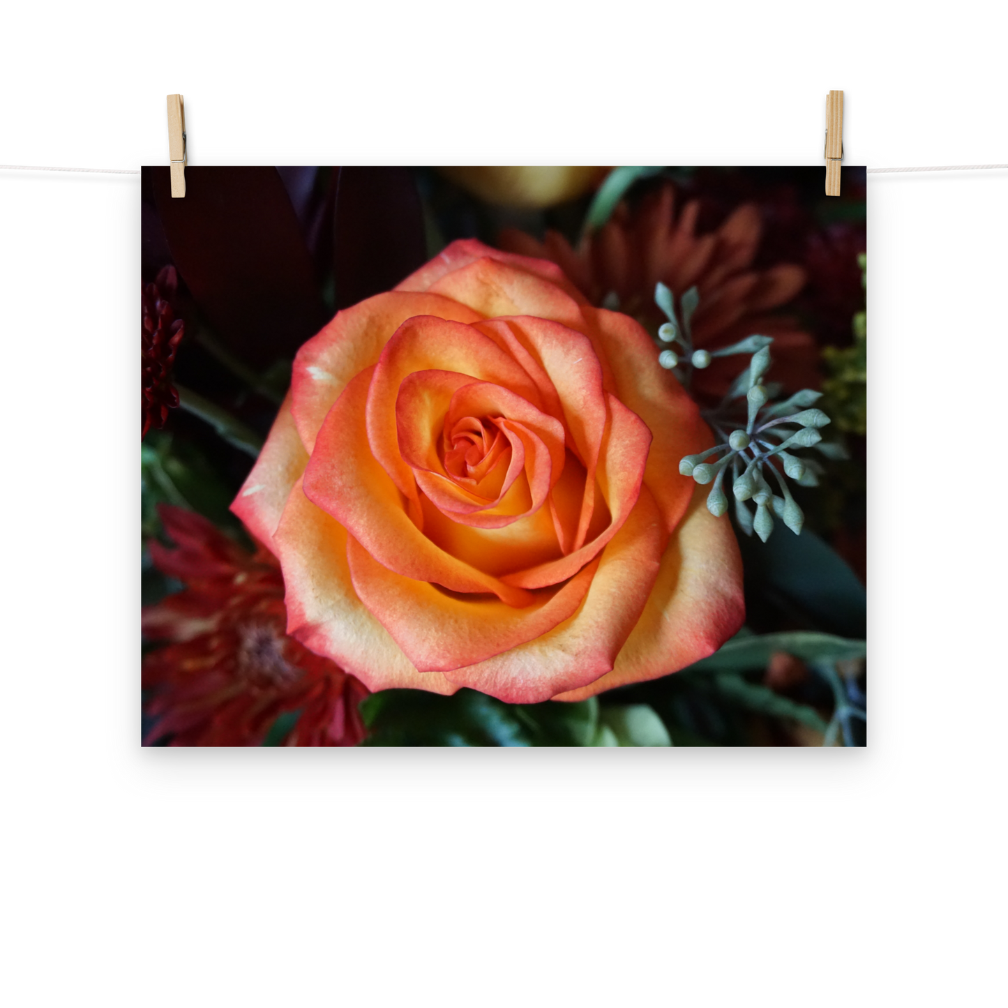Bloom of Fire