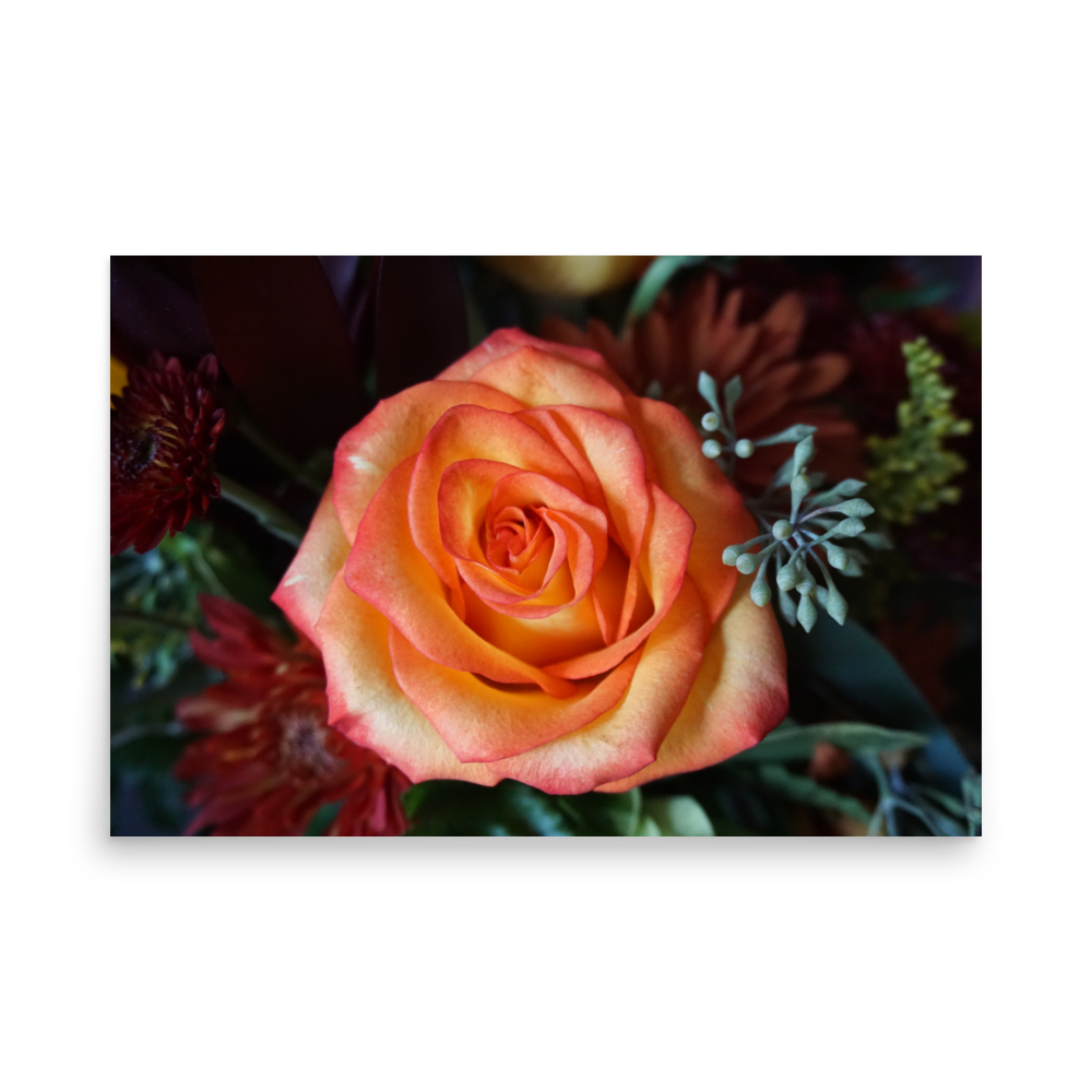 Bloom of Fire