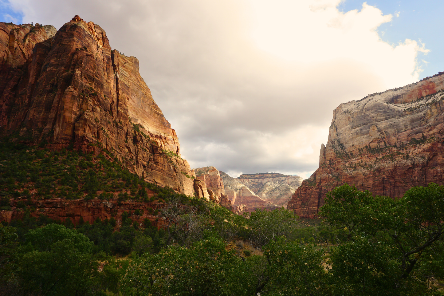 Canyon Collection -- Four Print Series