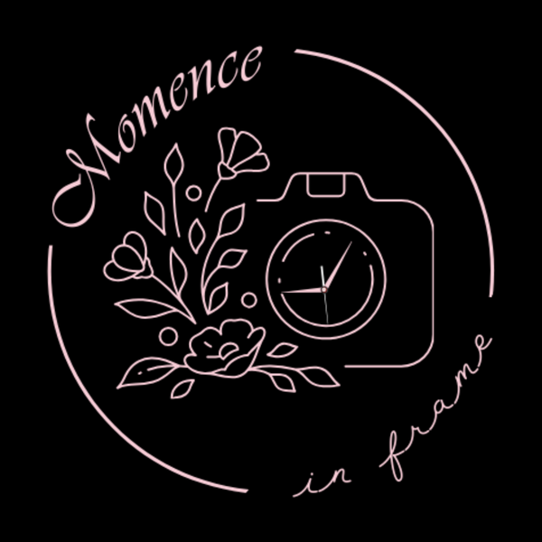 Momence in Frame