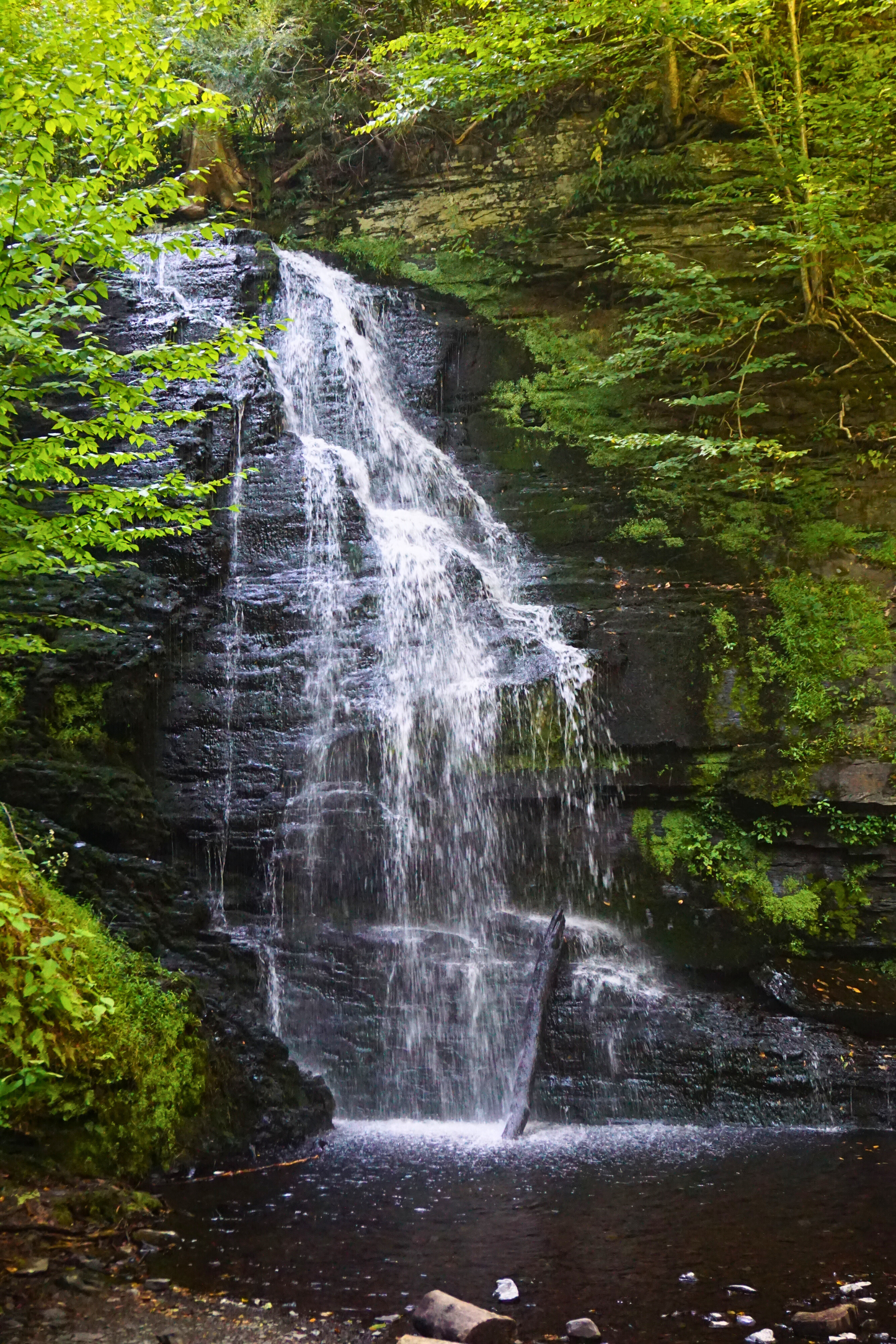 Whispering Falls