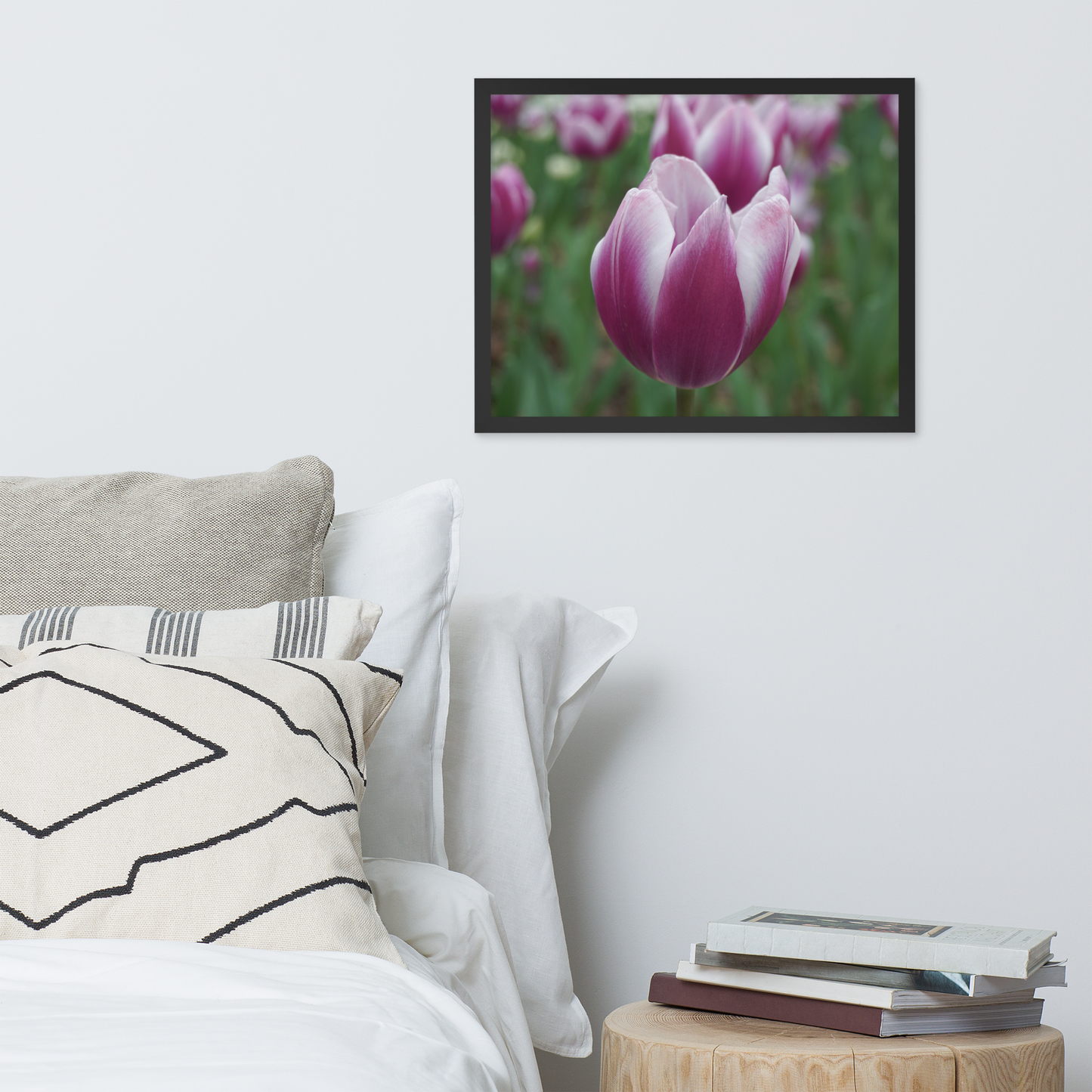 Blush in Bloom Framed Print