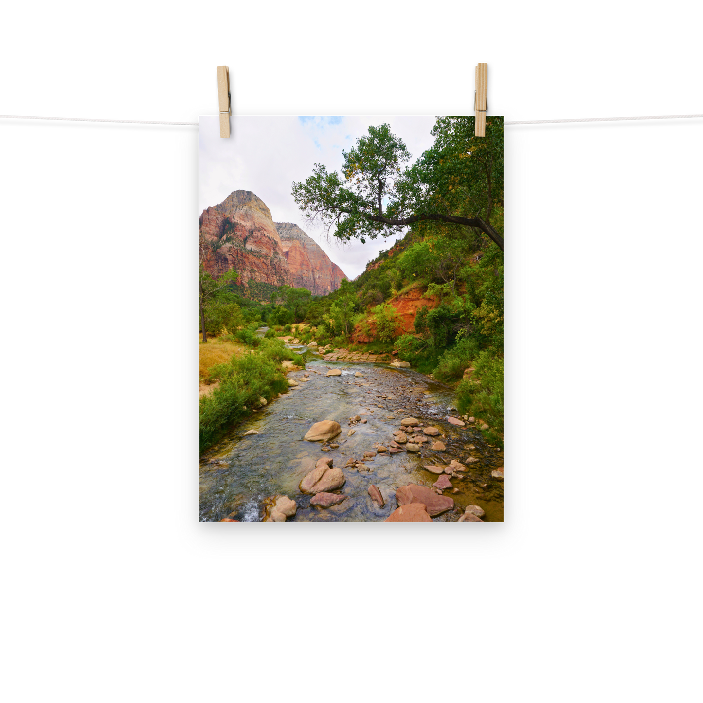 Lead to Quiet Waters