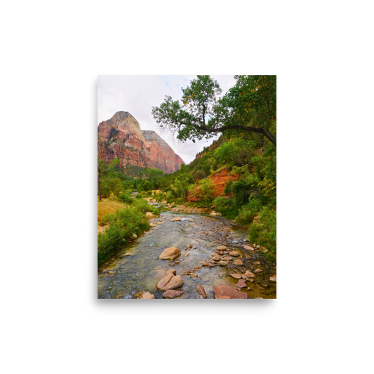 Lead to Quiet Waters